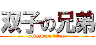 双子の兄弟 (attack on titan)