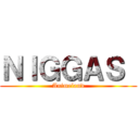 ＮＩＧＧＡＳ  (Animeland)