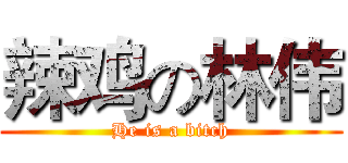 辣鸡の林伟 (He is a bitch)