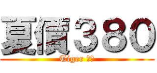 夏價３８０ (Tiger 虎姿)