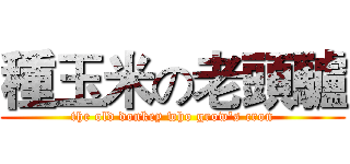 種玉米の老頭驢 (the old donkey who grow's cron)