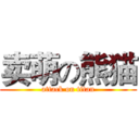 卖萌の熊猫 (attack on titan)