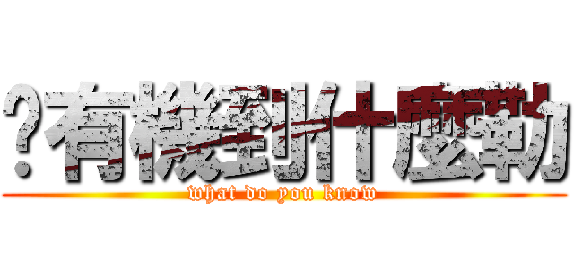 你有機到什麼勒 (what do you know)