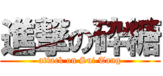進撃の砕糖 (attack on Sui Tang)