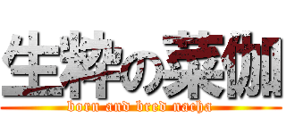 生粋の菜伽 (born and bred nacha)