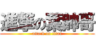 進撃の葉帥哥 (attack on titan)