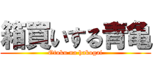 箱買いする青亀 (Otoku na hakogai)