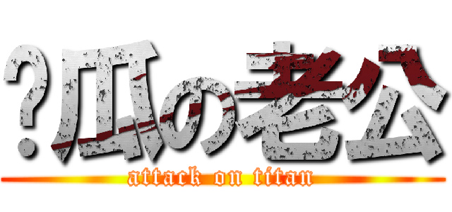 傻瓜の老公 (attack on titan)