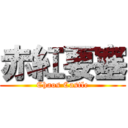 赤紅要塞 (Chaos Castle)