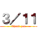 ３／１１ (Thank you)