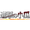 進撃の小瓜 (attack on titan)