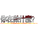 你在做什麼？ (WTF are you doing?)