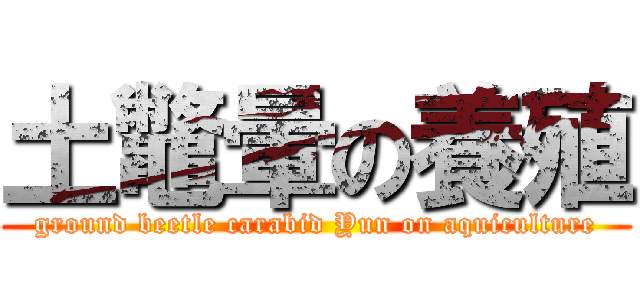 土鼈暈の養殖 (ground beetle carabid Yun on aquiculture)