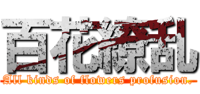 百花繚乱 (All kinds of flowers profusion.)