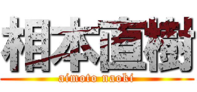 相本直樹 (aimoto naoki)