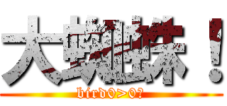 大蜘蛛！ (bird0>0?)