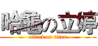 哈龜の立婷 (attack on titan)