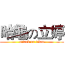 哈龜の立婷 (attack on titan)