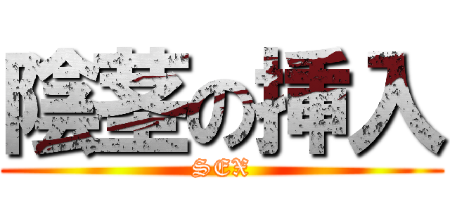 陰茎の挿入 (SEX)