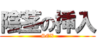 陰茎の挿入 (SEX)