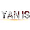 ＹＡＮＩＳ (ilona)