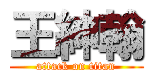 王紳翰 (attack on titan)