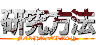 研究方法 (METHODOLOGY)