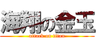 海翔の金玉 (attack on titan)