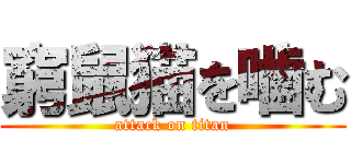 窮鼠猫を噛む (attack on titan)
