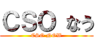 ＣＳＯ なう (CSO NOW)