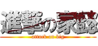 進撃の家懿 (attack on big)