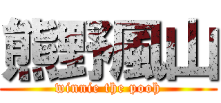 熊野風山 (winnie the pooh)