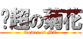 马超の菊花 (flower of MC)