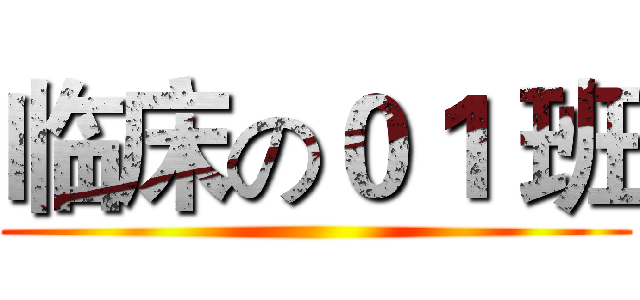 临床の０１ 班 ()