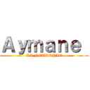 Ａｙｍａｎｅ  (LA NETROPIE)