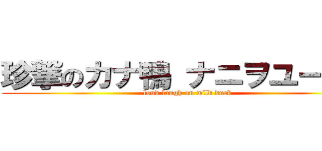 珍撃のカナ鴨 ナニヲユーの翼 (loud laugh on wild duck)