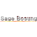 Ｓａｇｅ Ｂｏｓｕｎｇ (Berserker)