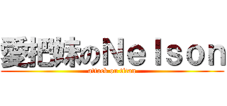 愛把妹のＮｅｌｓｏｎ (attack on titan)