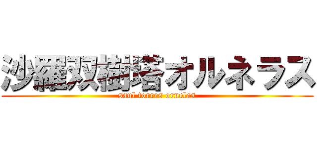 沙羅双樹塔オルネラス (saul torres ornelas)