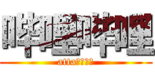 哔哩哔哩 (atta哔哩哔哩)