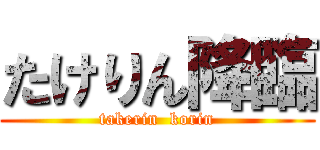 たけりん降臨 (takerin  korin)