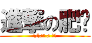 進撃の肥东 (what a 笨蛋)