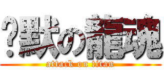 沉默の龍魂 (attack on titan)