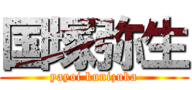 国塚弥生 (yayoi kunizuka)