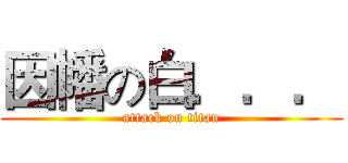 因幡の白．．． (attack on titan)