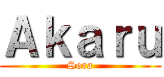 Ａｋａｒｕ (Sora)
