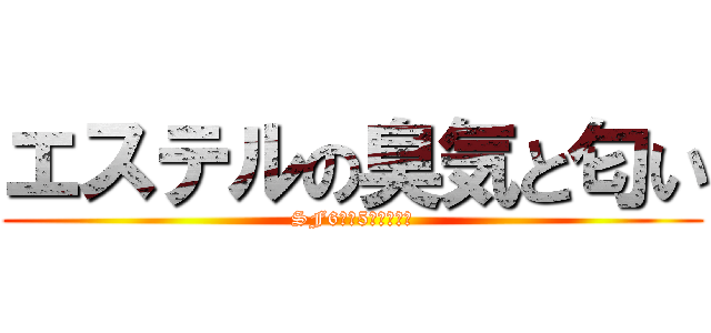 エステルの臭気と匂い (SF6期生5番加来悠陽)