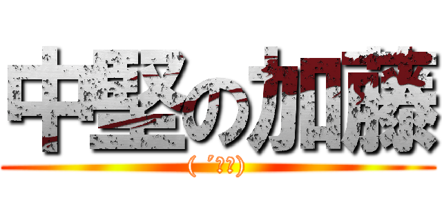 中堅の加藤 (( ´∀｀))