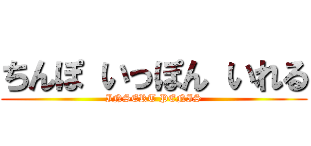 ちんぽ いっぽん いれる (INSERT PENIS)