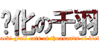 貓化の千羽 (attack! Full cats of thousands of birds)